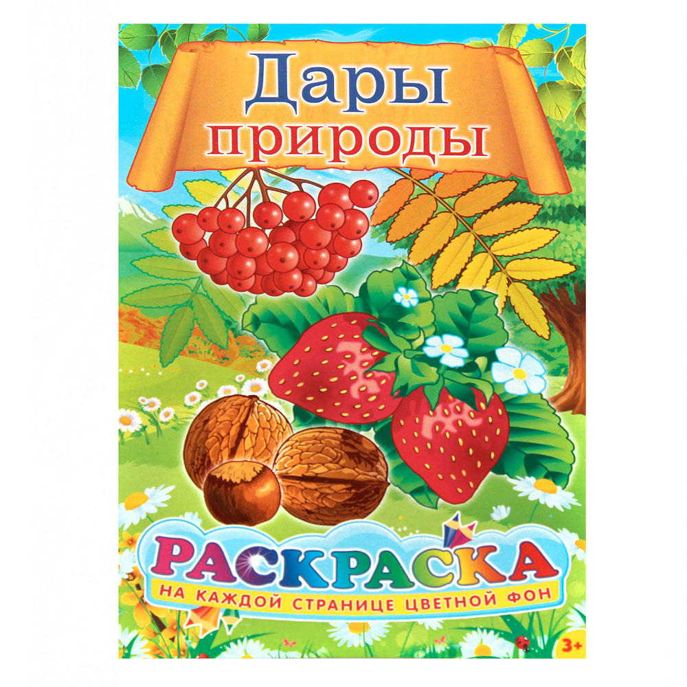 Раскраски P 21*29 Дары природы уп.50шт.. Купить оптом в Новосибирске –  Полиграфсоюз