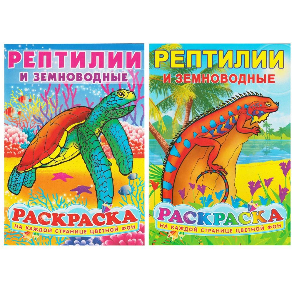 Раскраска 